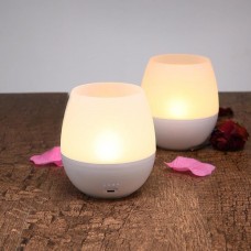 niceEshop Rechargeable Flameless LED Candle Lamp, Blowing On/OffControl Dimmable Tea Light Beside Night Light For Dinner CampingDecoration