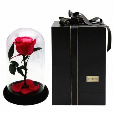 Rose Flower Festive Preserved Forever Immortal Fresh RoseImmortalized Glass Cover Unique Love Gifts Home Décor(Red)