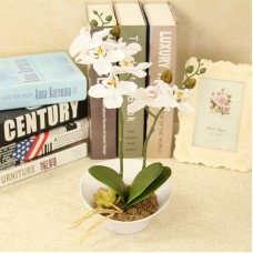 European-style living room artificial flowers Butterfly Orchid