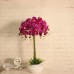 Wedding Party Home Decor Artificial Flowers Butterfly OrchidPhalaenopsis Floral Bouquet Rose Red