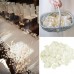 1000pcs Ivory Silk Rose Petals Bouquet Artificial Flower WeddingParty Aisle Decor Tabl Scatters Confett